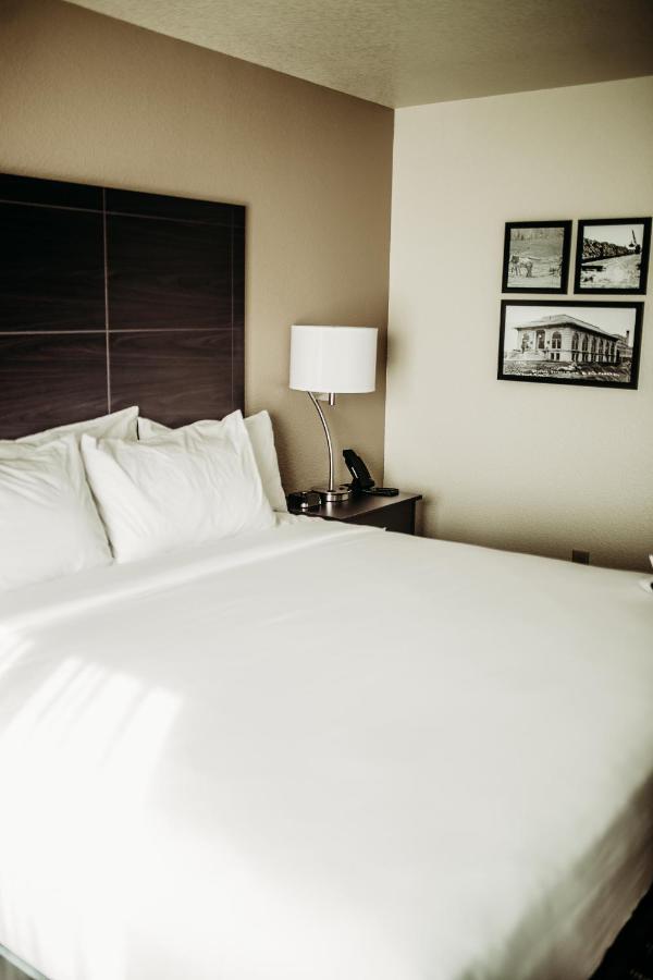 Cobblestone Hotel & Suites International Falls Eksteriør bilde